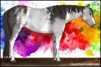 Horse Color:White Spotted Liver Chestnut 