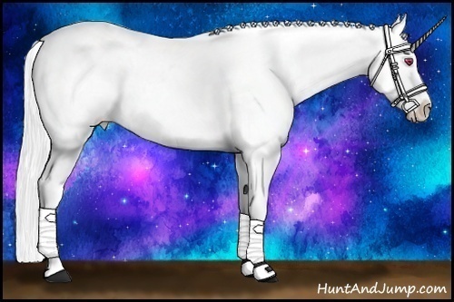 Horse Color:Silver Brown Chinchilla Appaloosa 