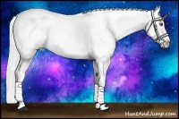 Horse Color:Silver Brown Chinchilla Appaloosa 