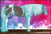 Horse Color:Thunderstruck Silver Black Splash Tobiano 