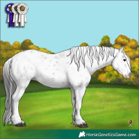 Horse Color:Brown Sabino