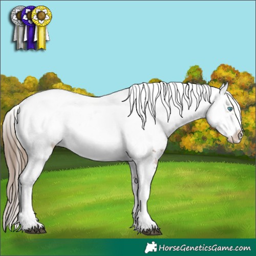 Horse Color:White Spotted Black Pearl Frame 