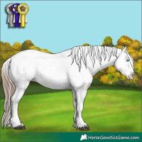 Horse Color:White Spotted Black Pearl Frame 