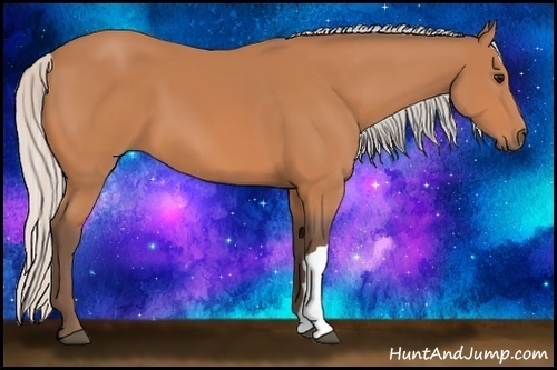 Horse Color:Silver Bay 