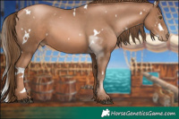 Horse Color:White Spotted Liver Chestnut Pearl 