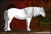 Horse Color:Liver Chestnut Frame 