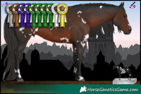 Horse Color:White Spotted Liver Chestnut 