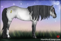 Horse Color:Bay Chinchilla Brindle