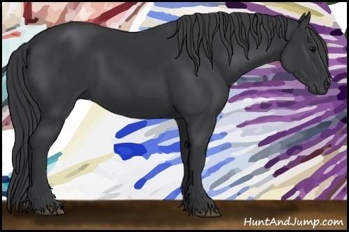 Horse Color:Black 
