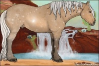 Horse Color:Silver Buckskin 