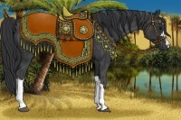 Horse Color:Black  Brindle