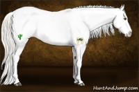 Horse Color:Silver Buckskin Dun Near Leopard Rabicano 