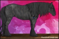 Horse Color:Black  Brindle