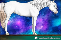 Horse Color:White Spotted Brown Pearl Splash Appaloosa 