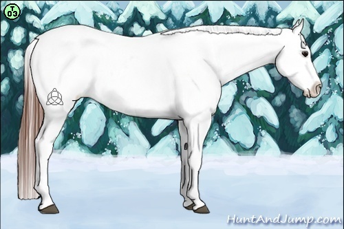 Horse Color:Brown Roan Varnish 