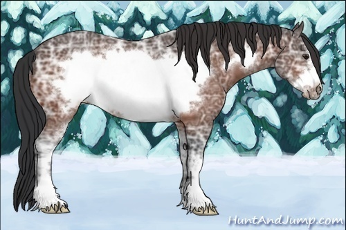 Horse Color:Bay Ice Sabino Frame 