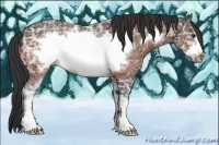 Horse Color:Bay Ice Sabino Frame 
