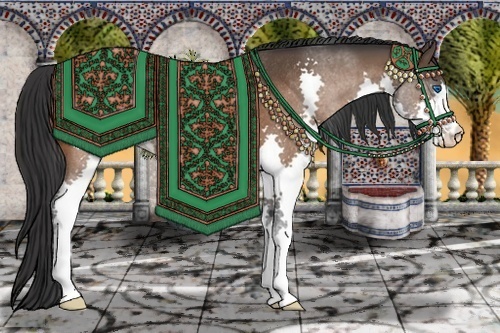 Horse Color:Bay Splash Rabicano 