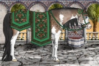 Horse Color:Bay Splash Rabicano 