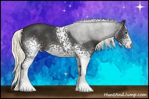 Horse Color:White Spotted Liver Red Roan
