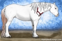 Horse Color:Brown Dun Varnish 