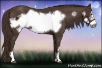 Horse Color:Liver Chestnut Frame