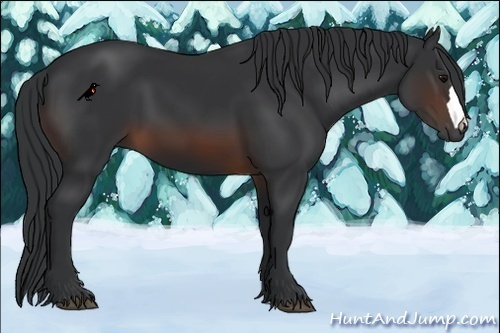 Horse Color:Brown 