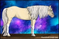 Horse Color:Silver Amber Cream Champagne Dun 