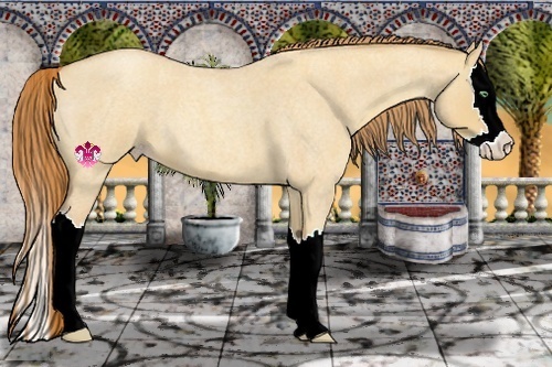 Horse Color:Gold Champagne Roan Dun Splash 