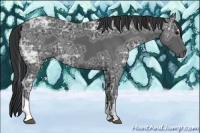 Horse Color:Black Ice Tobiano