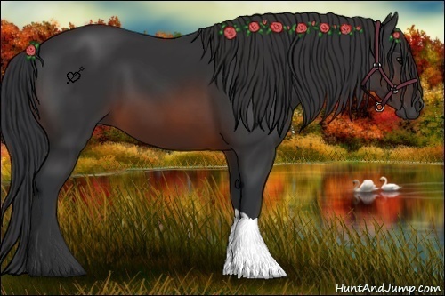 Horse Color:Brown 