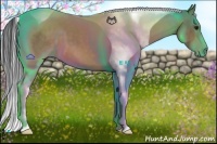 Horse Color:Buckskin Tobiano