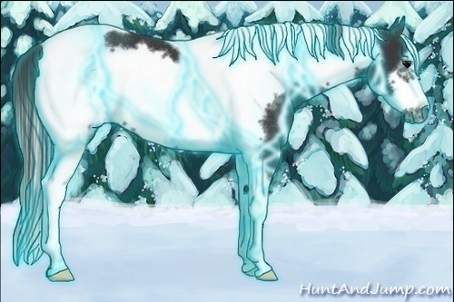 Horse Color:Thunderstruck Black Tobiano Frame Rabicano