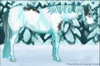 Horse Color:Thunderstruck Black Tobiano Frame Rabicano 