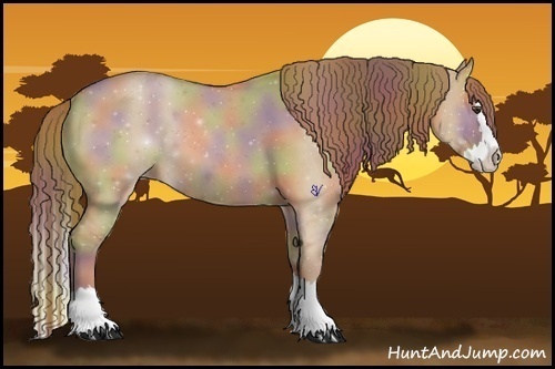 Horse Color:Nacre Red Dun Roan Sabino Splash 