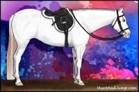 Horse Color:Amber Champagne Snowcap