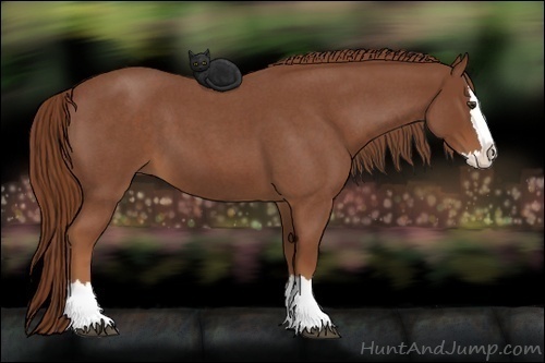 Horse Color:Red Roan Splash 