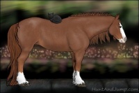 Horse Color:Red Roan Splash 