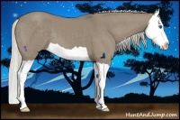 Horse Color:Silver Smoky Grullo Splash 