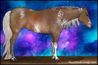 Horse Color:White Spotted Silver Brown Sabino