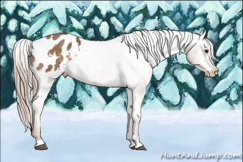 Horse Color:Chocolate Palomino Varnish 