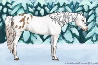 Horse Color:Chocolate Palomino Varnish 