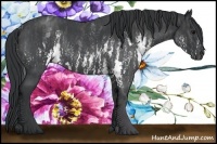 Horse Color:White Spotted Blue Roan Rabicano  Brindle