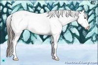 Horse Color:Liver Chestnut Near Fewspot Rabicano