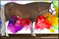 Horse Color:Liver Chestnut Sabino Splash 