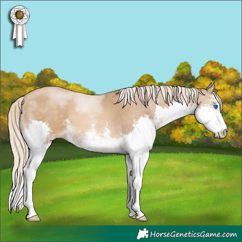 Horse Color:White Spotted Chocolate Palomino Pearl Splash 
