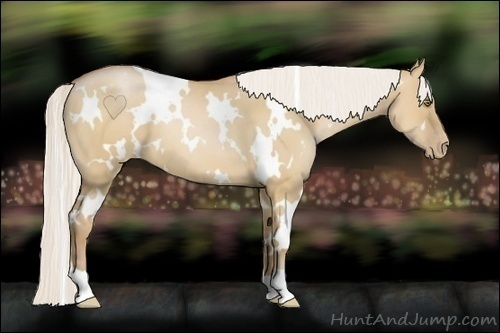 Horse Color:White Spotted Silver Bay Pearl Dun