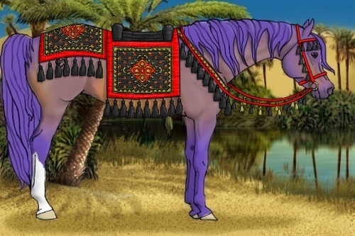 Horse Color:Watercolor Bay