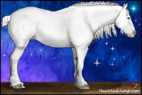 Horse Color:Palomino Pearl Appaloosa 