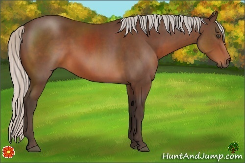 Horse Color:Silver Brown 